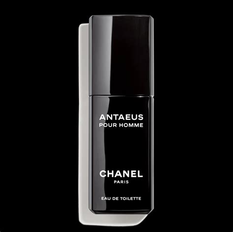 chanel antaeus superdrug|chanel antaeus 100ml.